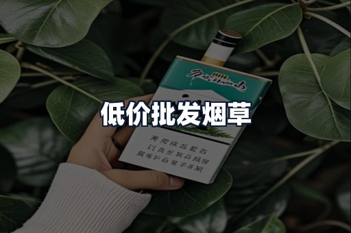 低价批发烟草